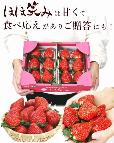 ごえんのいちご ほほ笑み 4