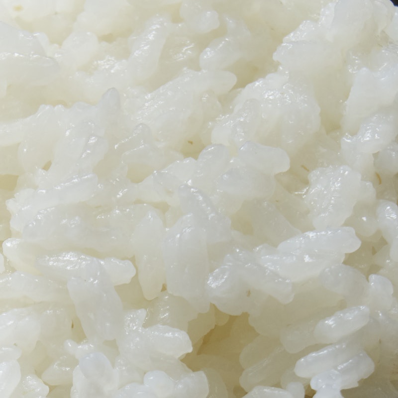 炊飯器 9