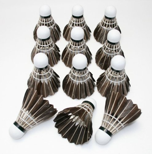 22年 バドミントンシャトルのおすすめ人気ランキング19選 Mybest