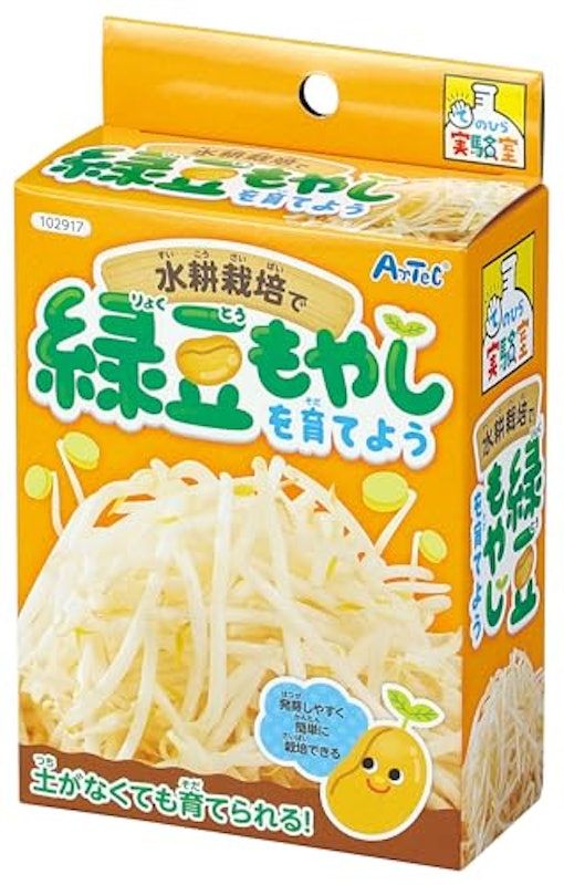 水耕栽培 緑豆もやし 1
