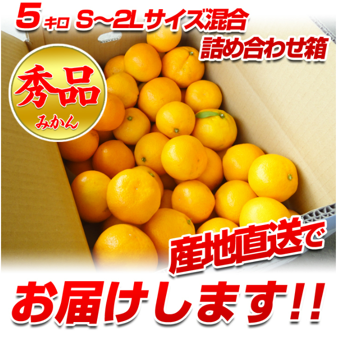 農家直送の下津みかん 2