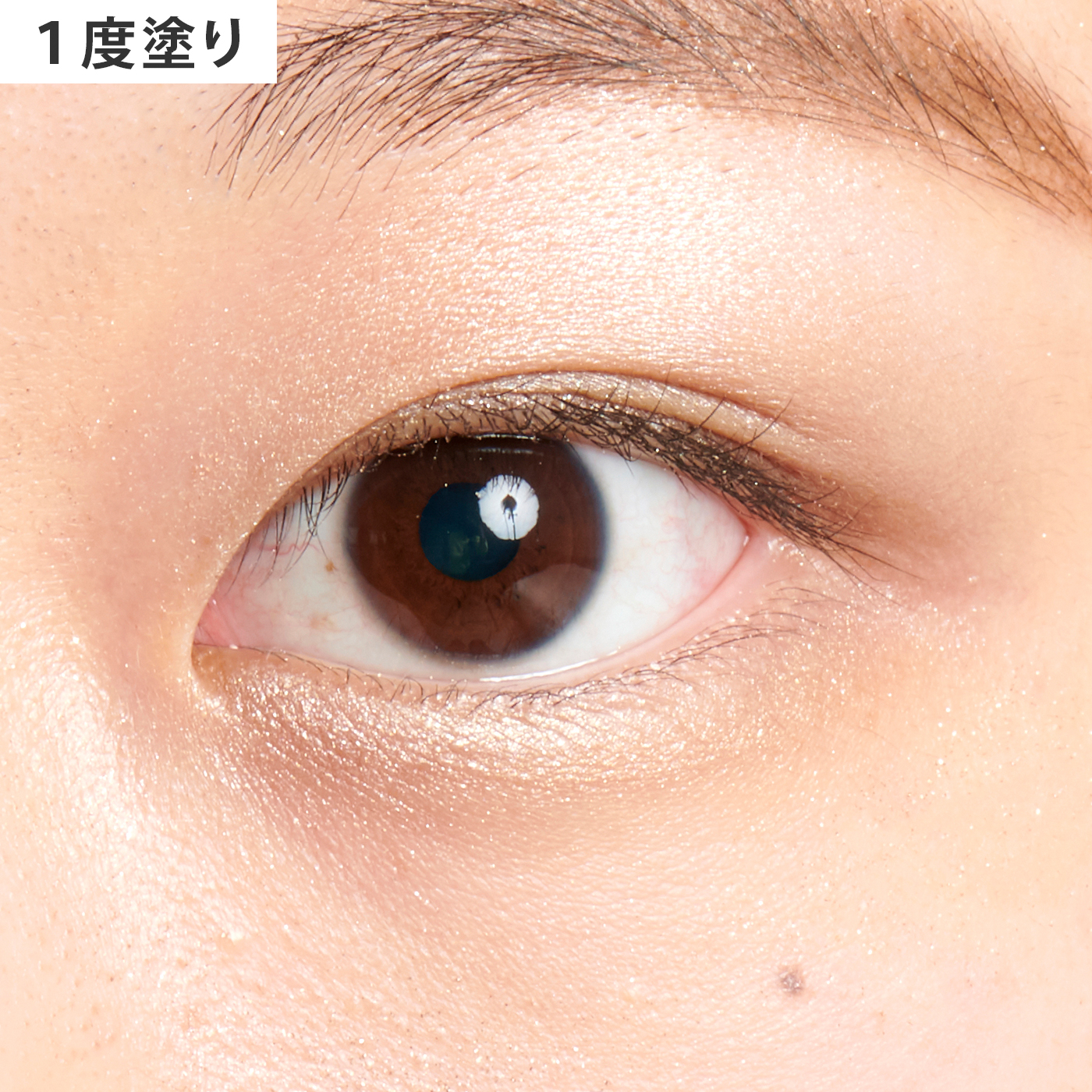 オーブ デザイニングインプレッションアイズ 555 ブラウン系を