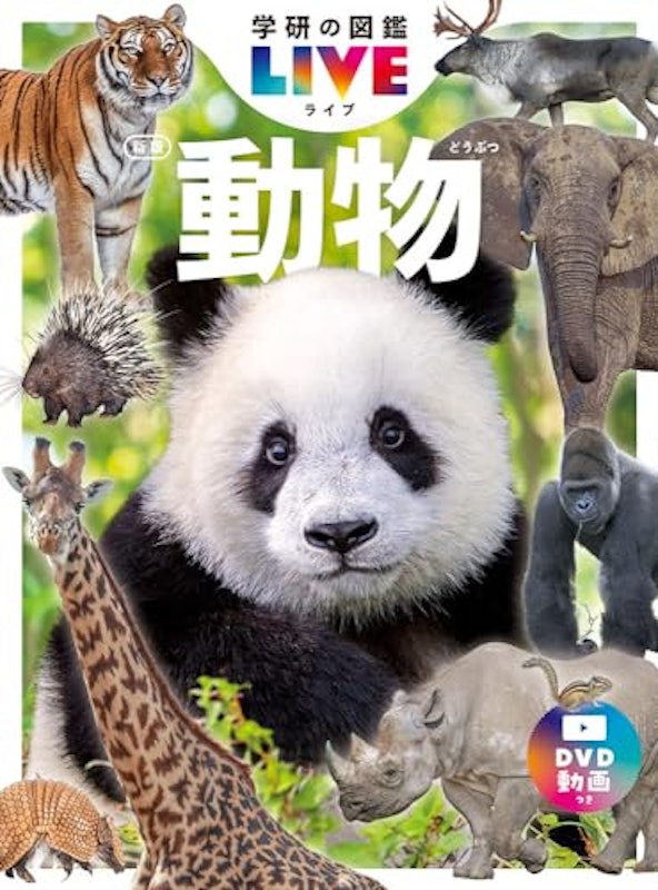 動物 新版 1