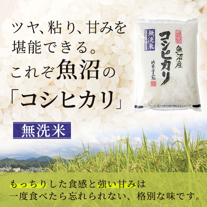 魚沼産コシヒカリ　無洗米 3