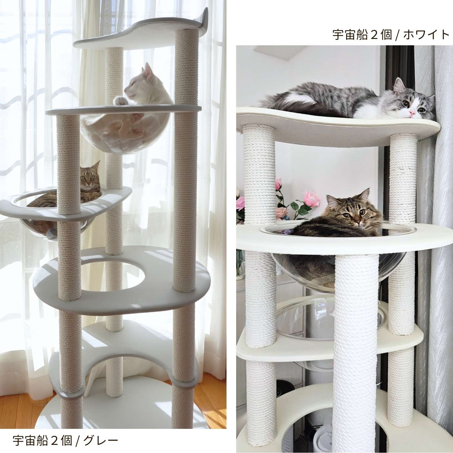 RESIDENCE 宇宙船タイプ 5