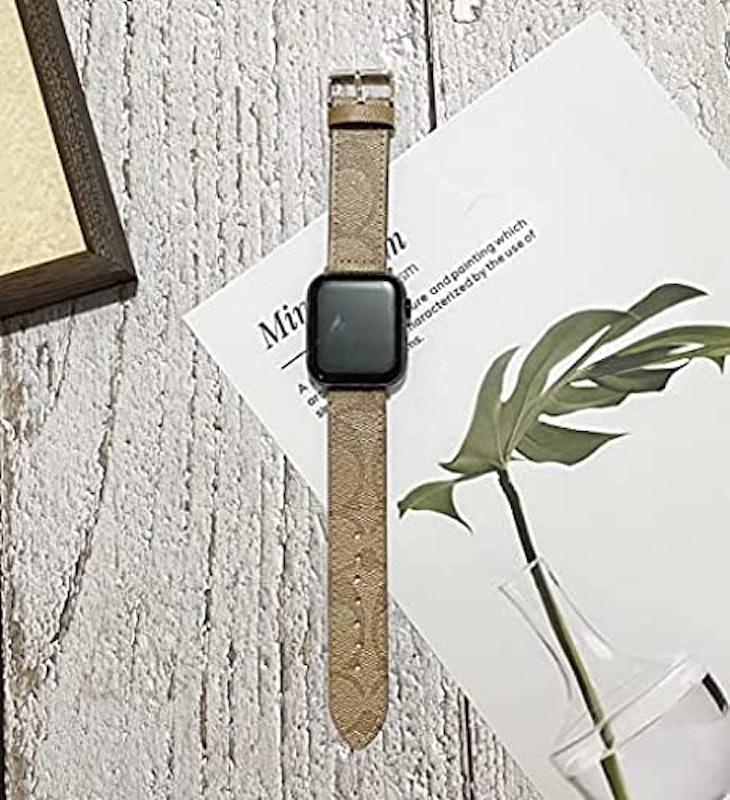 Apple Watchバンド 6