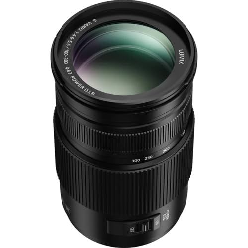 G VARIO 100-300mm / F4.0-5.6 Ⅱ / POWER O.I.S. 2