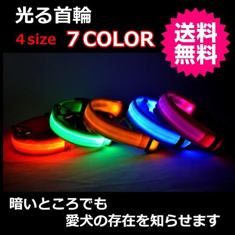 光る首輪 1