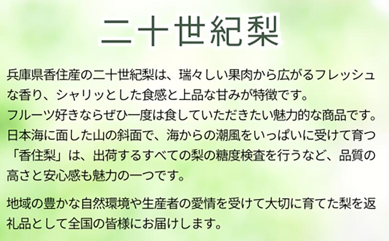 20世紀梨 香住梨 秀品 4
