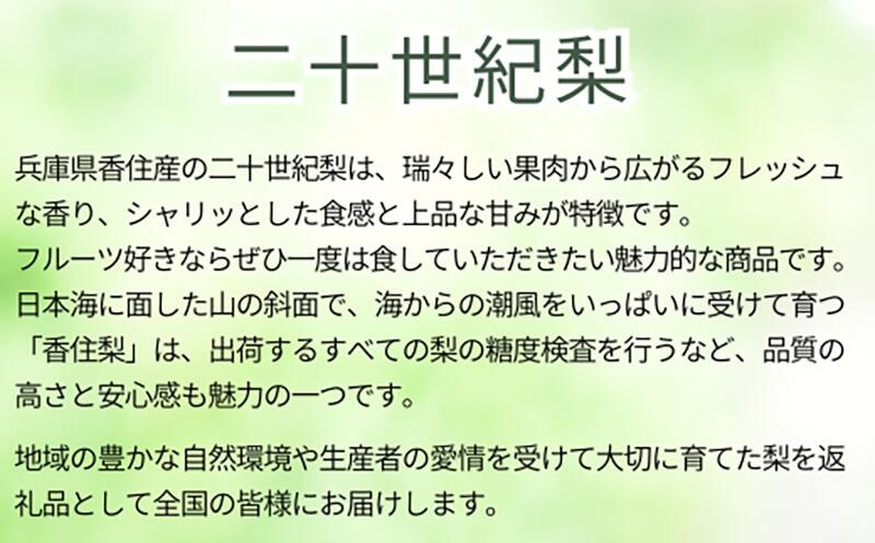 20世紀梨 香住梨 秀品 4