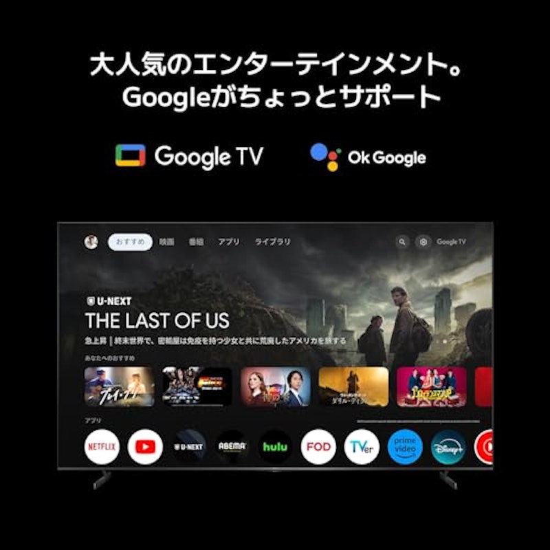 チューナーレステレビ 100インチ 6