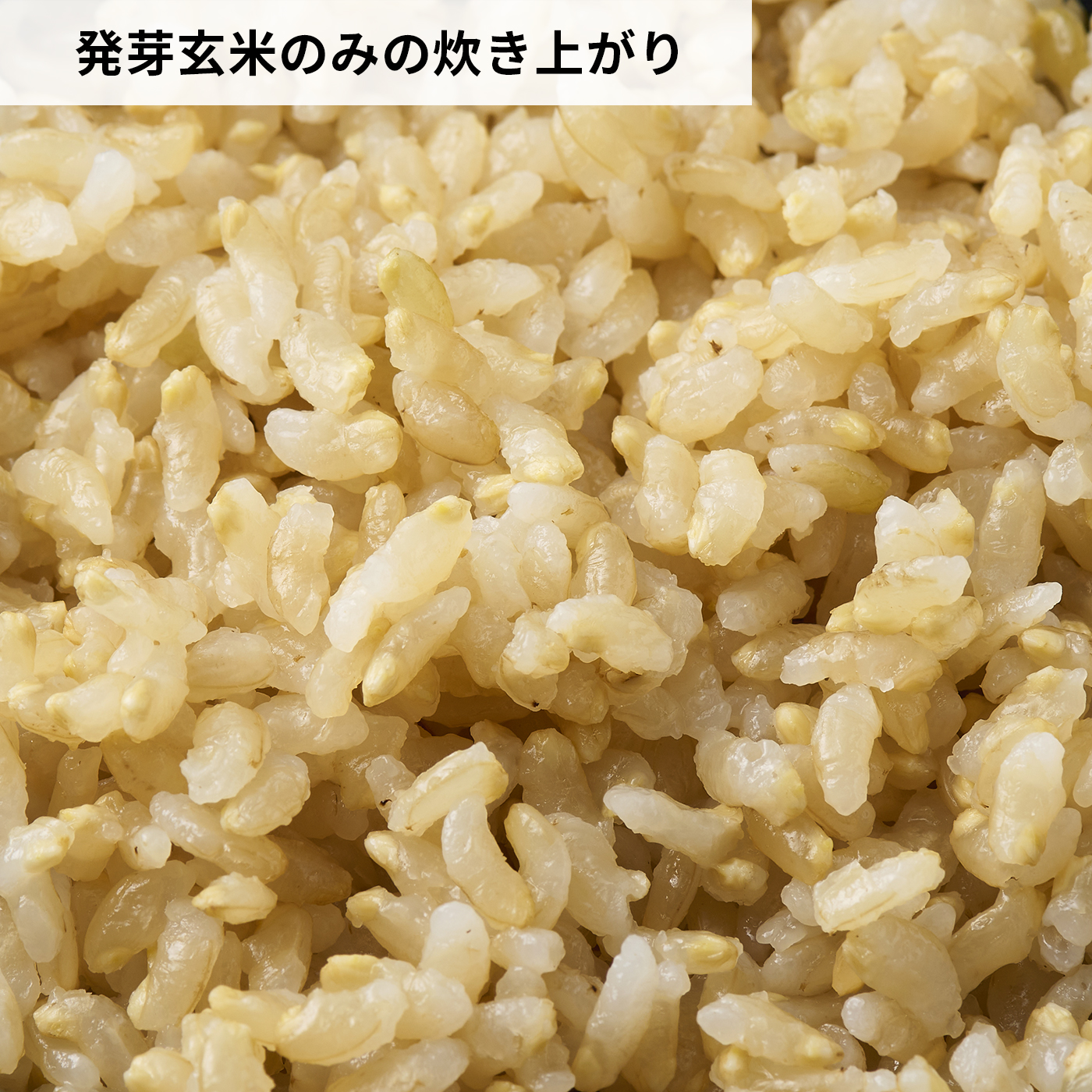 発芽米 金のいぶき 6