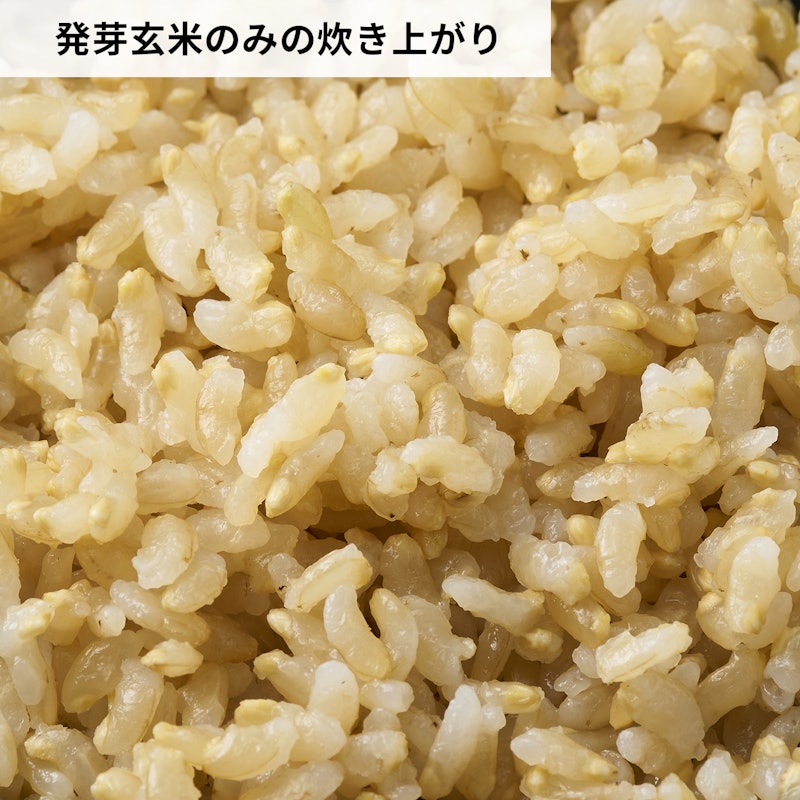 発芽米 金のいぶき 6