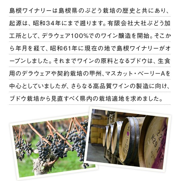 白・赤詰合せセット 3