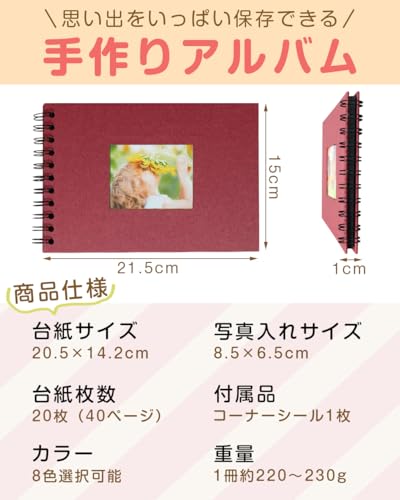 アルバム 2