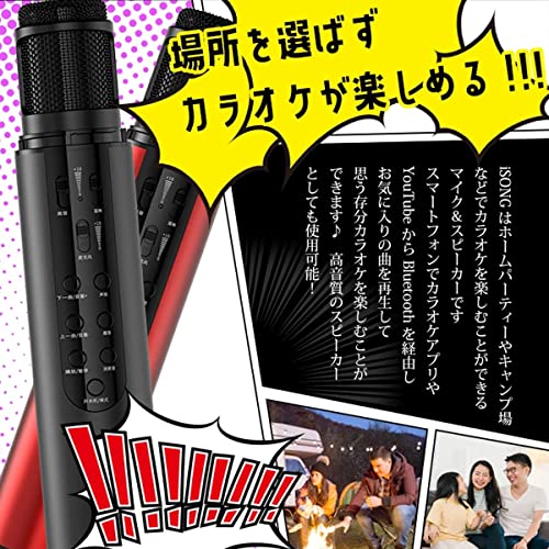 カラオケマイク 2