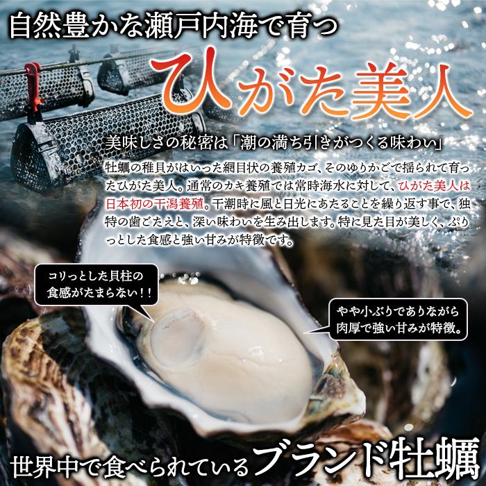 殻付き生牡蠣 ひがた美人 5
