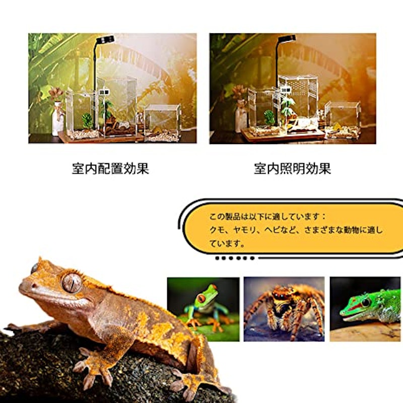 爬虫類・両生類用飼育ケース 2