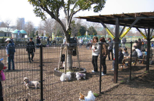 22年 東京都内のドッグランのおすすめ人気ランキング選 Mybest