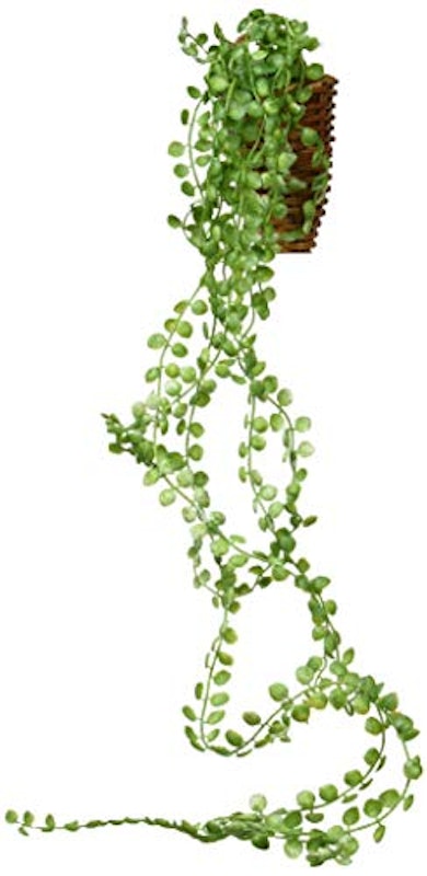 Hanging green ビーンバイン 壁掛け 1