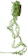 ケーアイジャパン Hanging green ビーンバイン 壁掛け 1