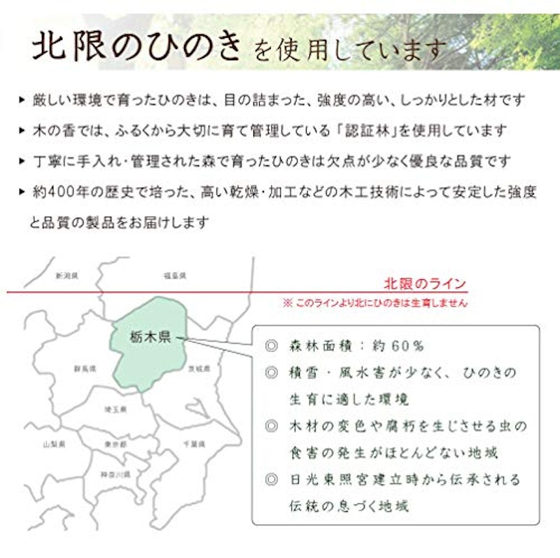 みんなのフロイス 8