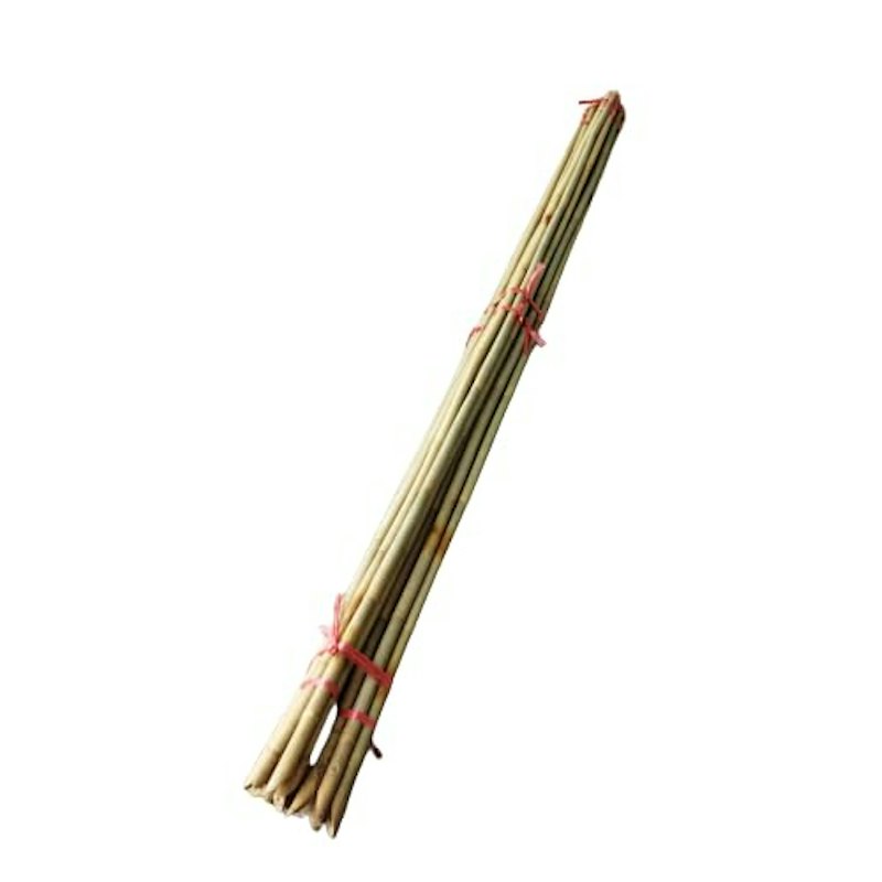 白竹 1