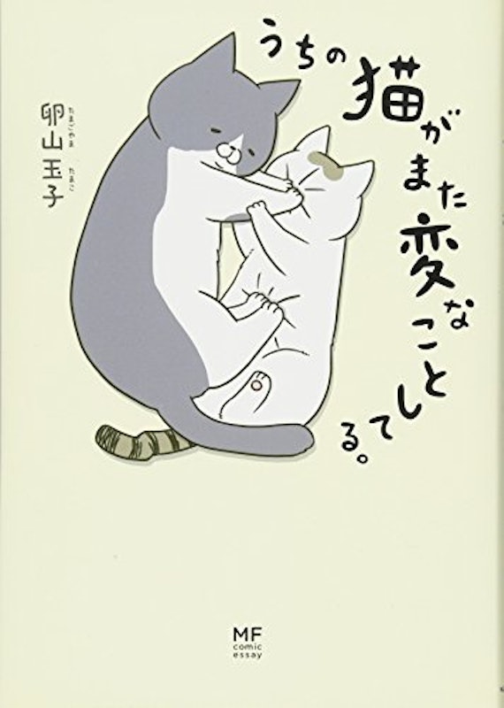 うちの猫がまた変なことしてる。 1