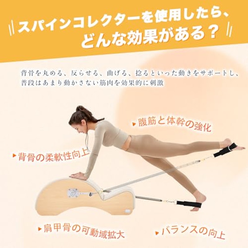 スパインコレクター 3