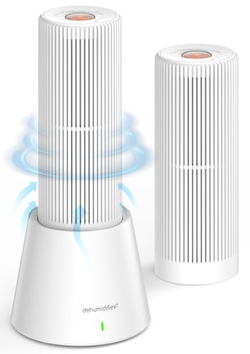 小型除湿機のおすすめ人気ランキング【クローゼット・押入れのカビ対策