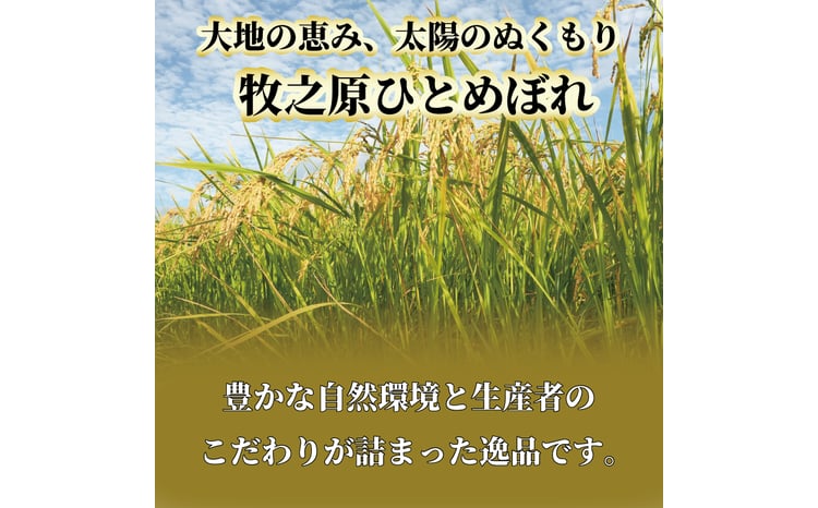 玄米 ひとめぼれ 2