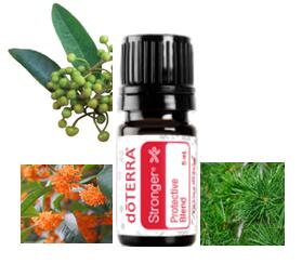 【新品】ドテラ　デュフューザー ドテラ ラルツディフューザー – doTERRA TIMES
