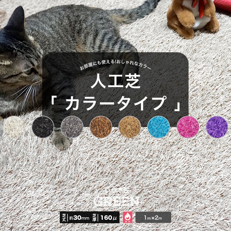 いつでもGreen レギュラー・カラータイプ 1