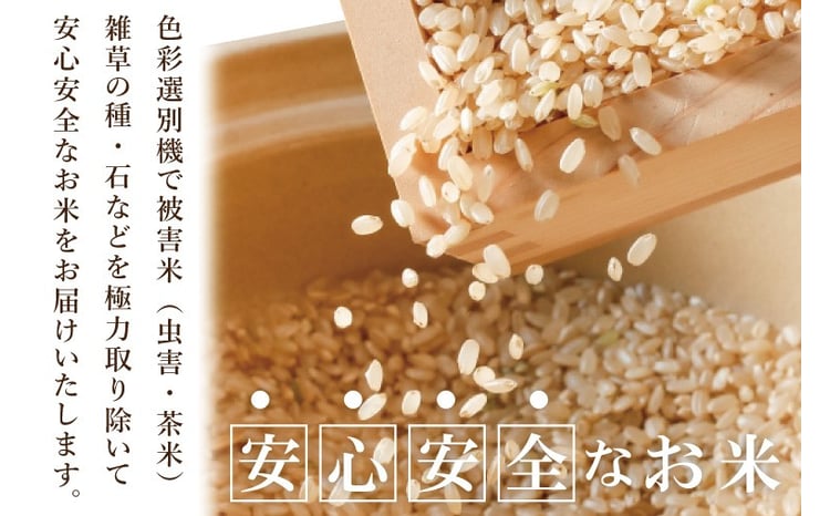 取手市産コシヒカリ 玄米 3