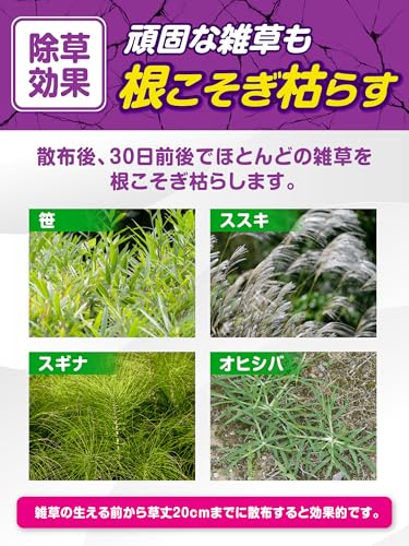 ブロマックスW9 3