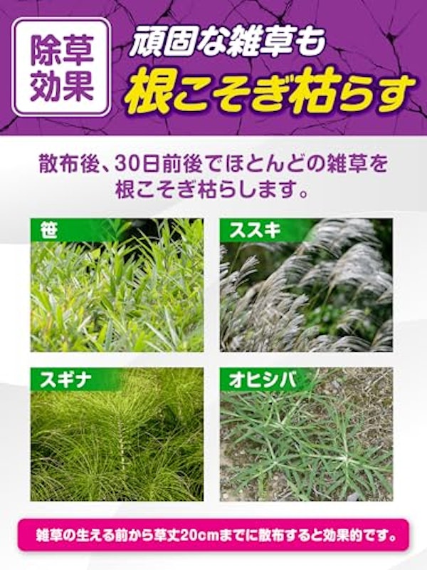 ブロマックスW9 3
