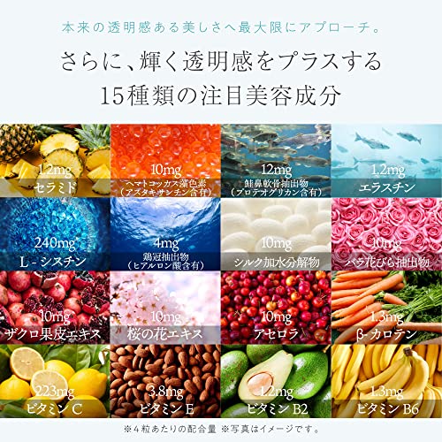 マスターホワイト 6