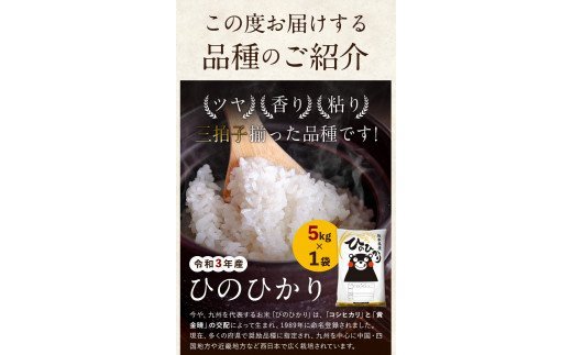 ふるさと納税 大山しらゆき米 kg コシヒカリ 玄米