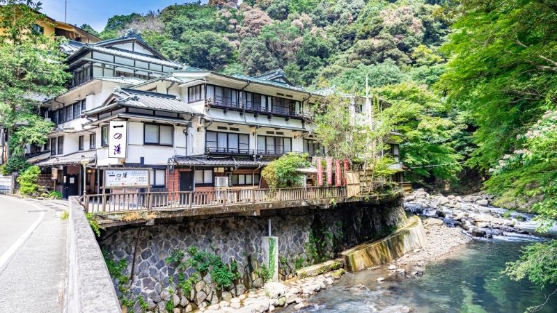 塔ノ沢 一の湯 本館 1