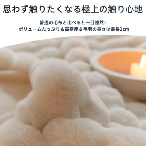 ふわとろ毛布 2