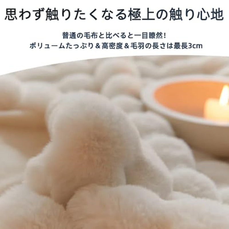 ふわとろ毛布 2