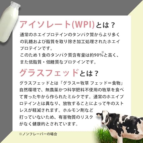 WPI 2