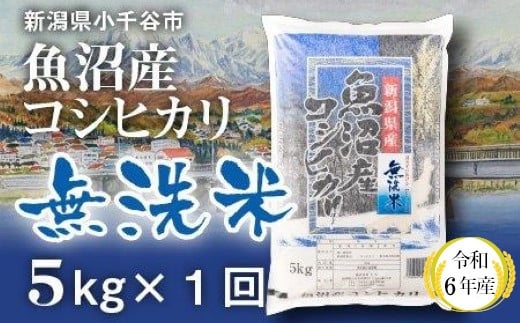 無洗米のふるさと納税返礼品のおすすめ人気ランキング【2026年6月】 2