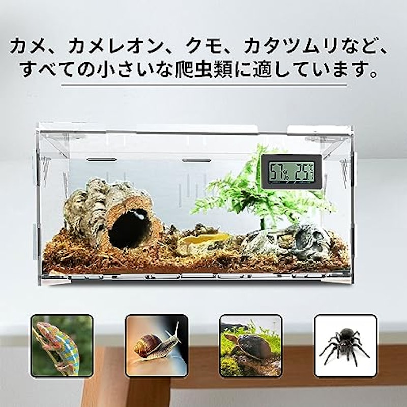 爬虫類用ケージのおすすめ人気ランキング【2025年】 | マイベスト ...