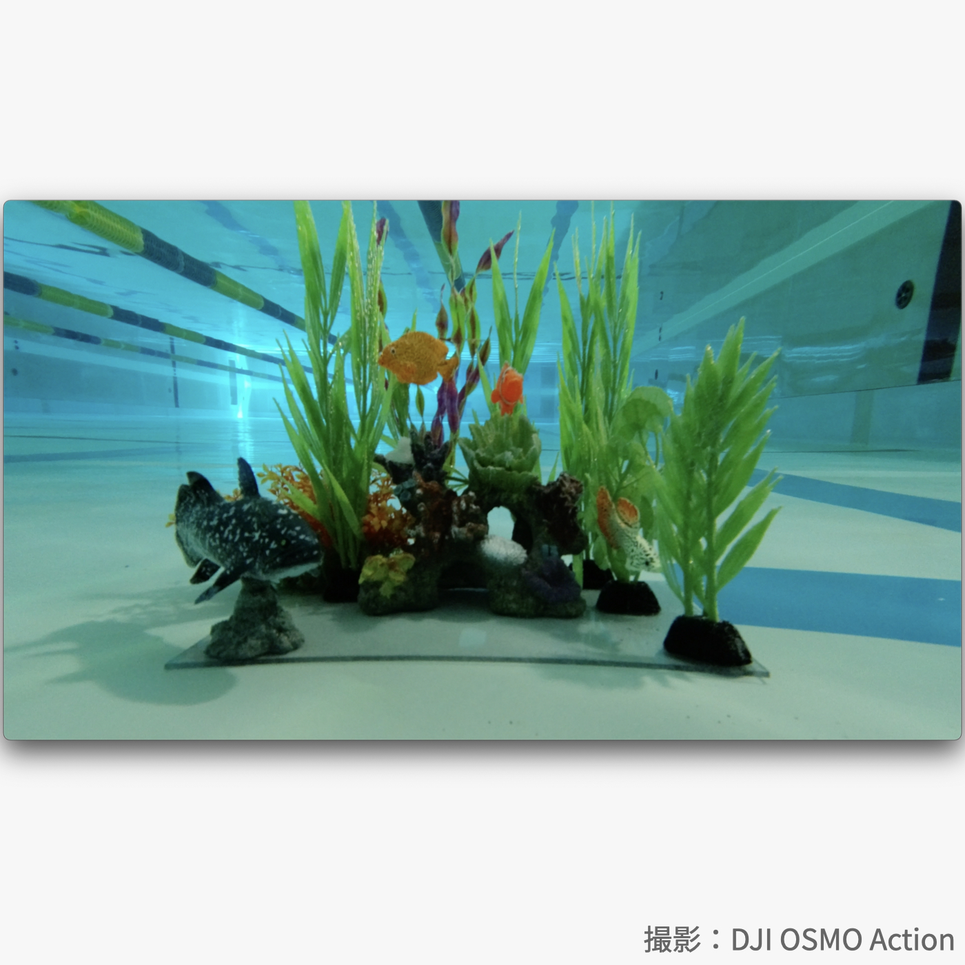 OSMO Action 6