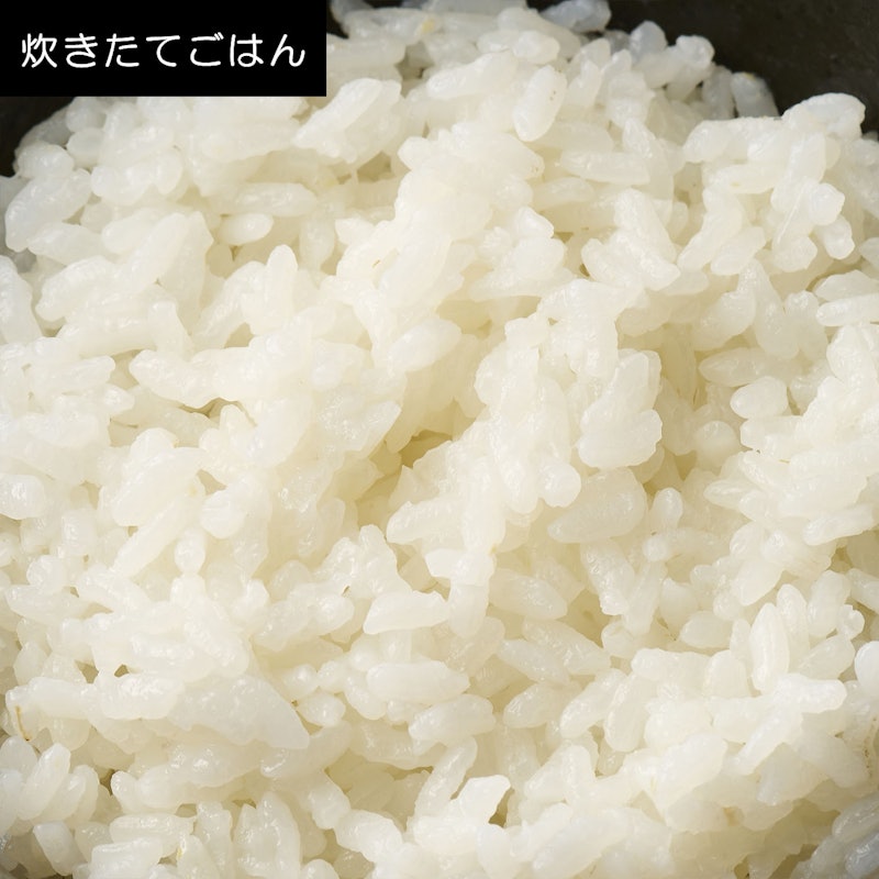 可変圧力IHジャー炊飯器 10