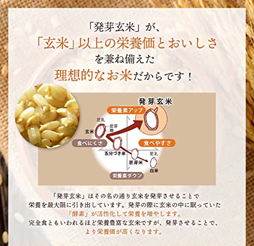 3日寝かせ 発芽玄米ごはん+GABA 5