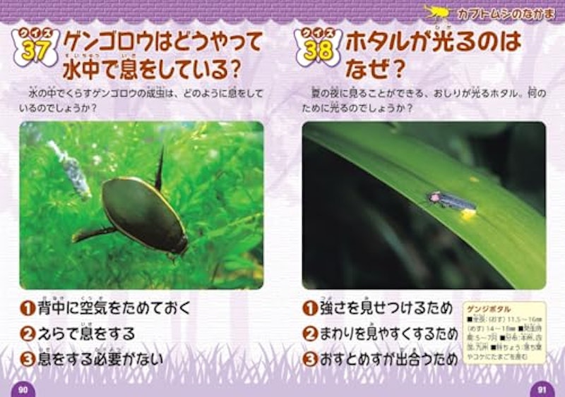 昆虫のクイズ図鑑 5