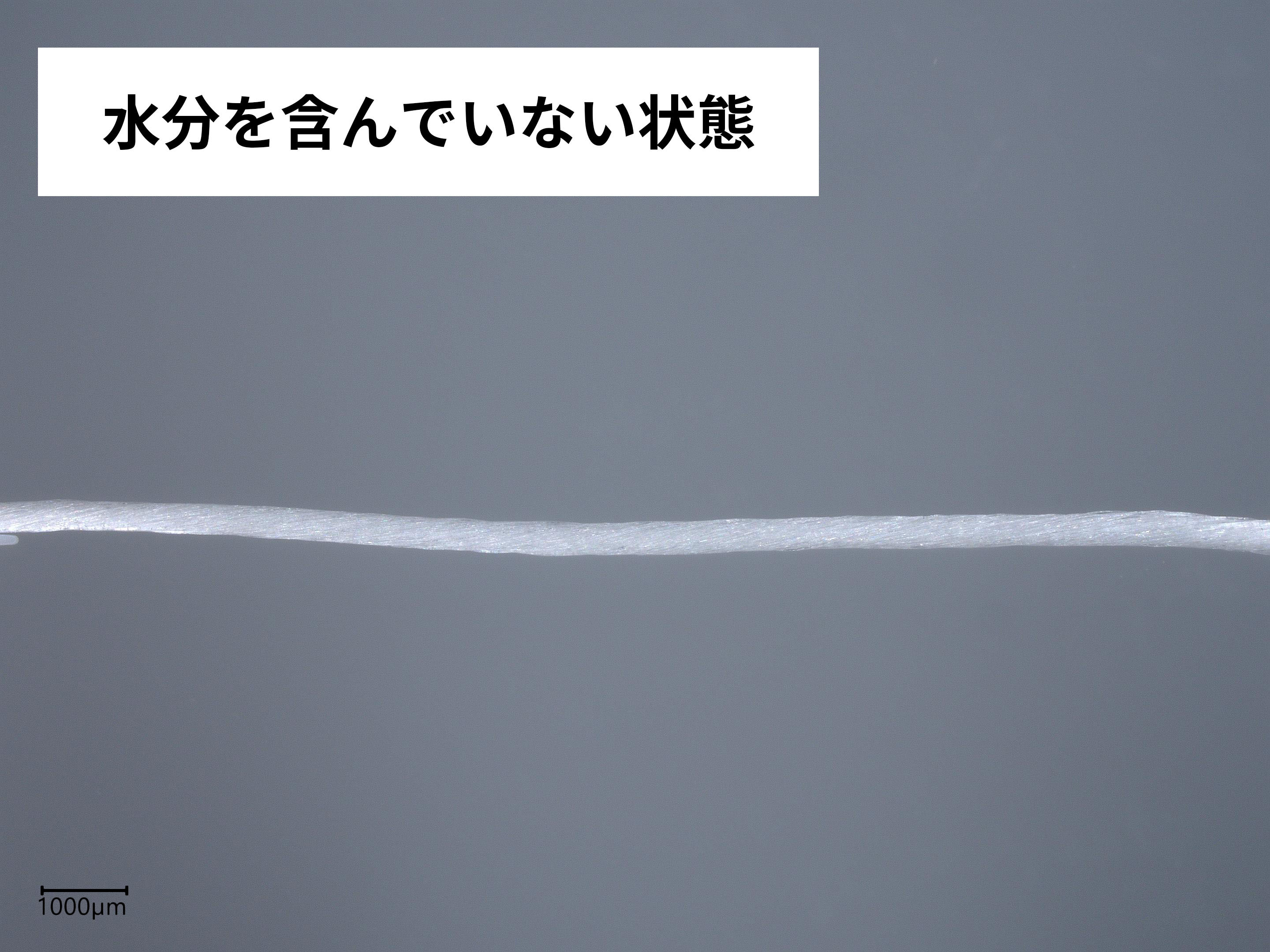 デンタルフロス 3