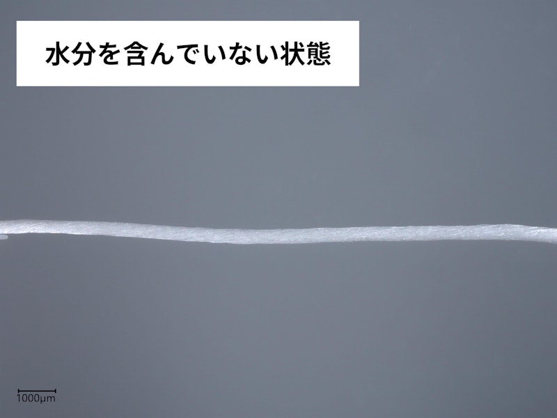 デンタルフロス 3
